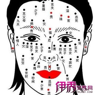 女人眼下有痣|女人右眼下有痣命运 女人眼痣图解大全